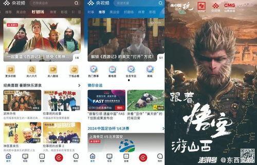 国产视频精品视频