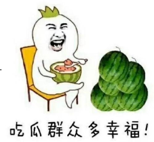娱乐吃瓜的头像